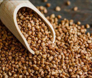 Buckwheat