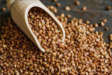 Buckwheat